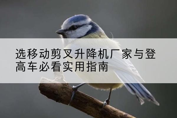 济源电动升降机厂家-选移动剪叉升降机厂家与登高车必看实用指南