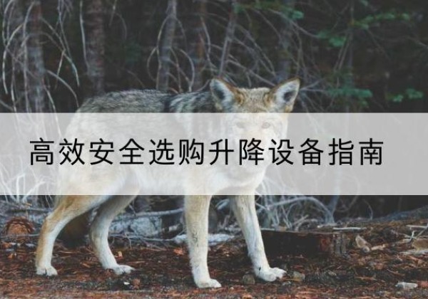 济源升降货梯厂家推荐-*安全选购升降设备指南